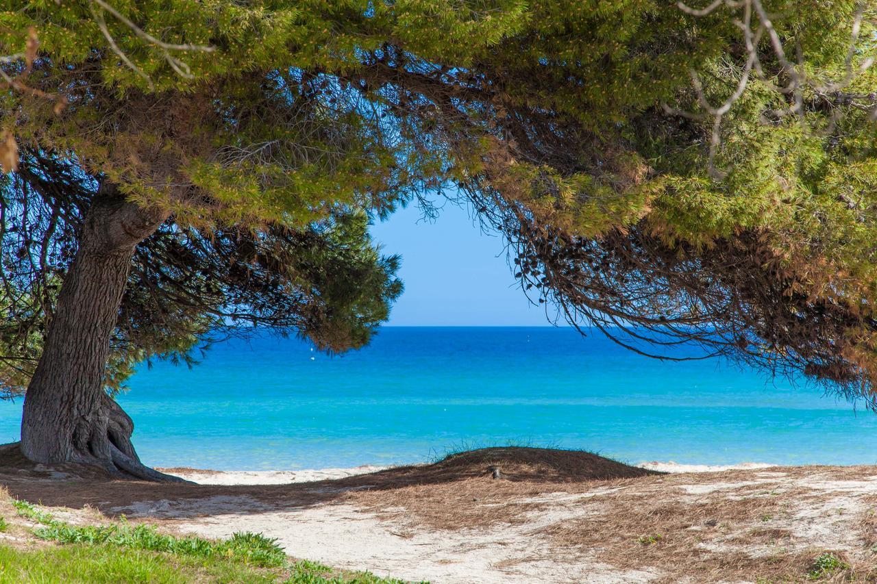 Son Valenti Βίλα Sa Pobla Εξωτερικό φωτογραφία
